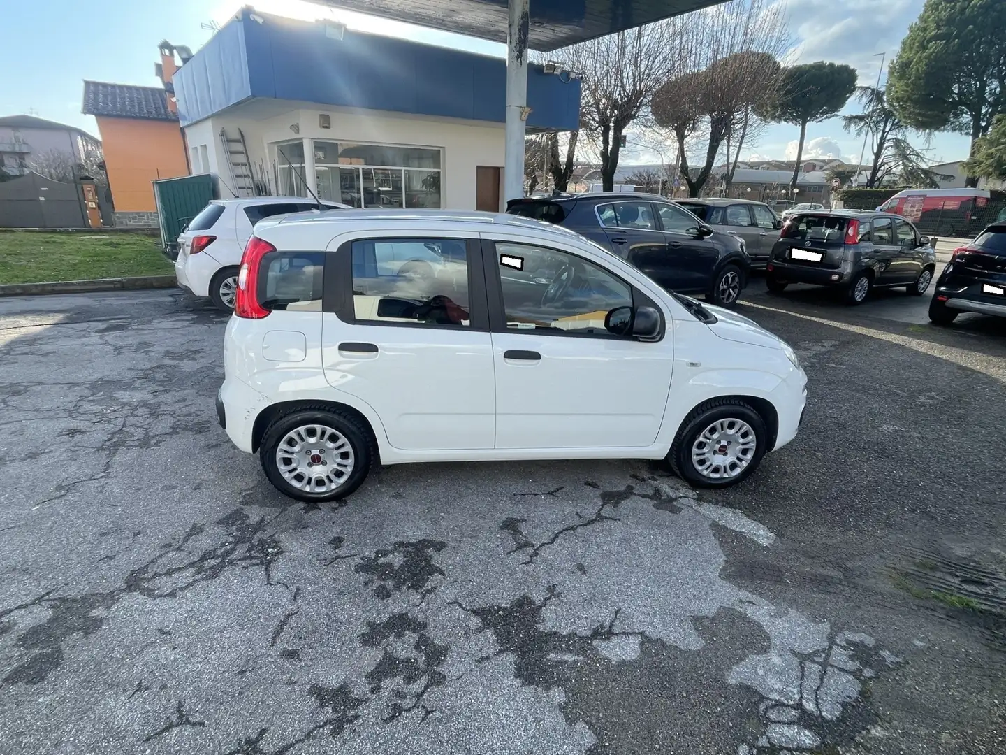 Fiat Panda Panda III 2012 1.2 Pop 69cv E6 Bianco - 2