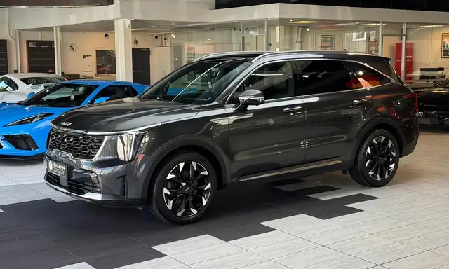 Kia Sorento view 2