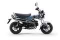 Honda Dax 125 / ST 125 #2025 #bis 6 Jahre Garantie Grau - thumbnail 1