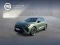 CUPRA Terramar TRIBE e-HYBRID 204 PS DSG Grün - thumbnail 1