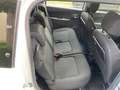 Dacia Lodgy Lodgy SCe 110 LPG Comfort Alb - thumbnail 8
