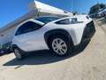 Toyota Aygo X Aygo X 1.0 VVT-i 72 CV 5p. Active Blanc - thumbnail 2