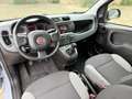Fiat Panda Panda III 2021 1.0 firefly hybrid s Grigio - thumbnail 5