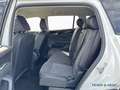 Volkswagen Tayron Elegance 1.5 eTSI DSG 150PS 7-Sitze Weiß - thumbnail 12