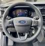 Ford Transit Transit Kasten 2,0 EcoBlue L2H2 350 Basis Weiß - thumbnail 14