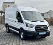 Ford Transit Transit Kasten 2,0 EcoBlue L2H2 350 Basis Weiß - thumbnail 3