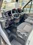 Ford Transit Transit Kasten 2,0 EcoBlue L2H2 350 Basis Weiß - thumbnail 7