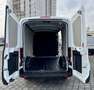 Ford Transit Transit Kasten 2,0 EcoBlue L2H2 350 Basis Weiß - thumbnail 12