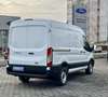 Ford Transit Transit Kasten 2,0 EcoBlue L2H2 350 Basis Weiß - thumbnail 4