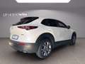 Mazda CX-30 m-hybrid Executive 2wd Bianco - thumbnail 3