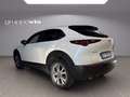 Mazda CX-30 m-hybrid Executive 2wd Bianco - thumbnail 2