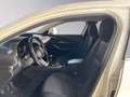 Mazda CX-30 m-hybrid Executive 2wd Bianco - thumbnail 12