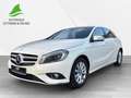 Mercedes-Benz A 200 d, Style, AHK, BI-XENON, RÜCKFAHRKAMERA Weiß - thumbnail 2