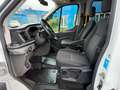 Ford Transit Kombi 330 L3 Trend - 9 Sitzer Weiß - thumbnail 16
