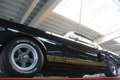 Ford Mustang Fastback Shelby GT 350H Clone, Fantastic car, driv Zwart - thumbnail 7