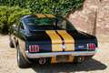 Ford Mustang Fastback Shelby GT 350H Clone, Fantastic car, driv Zwart - thumbnail 19