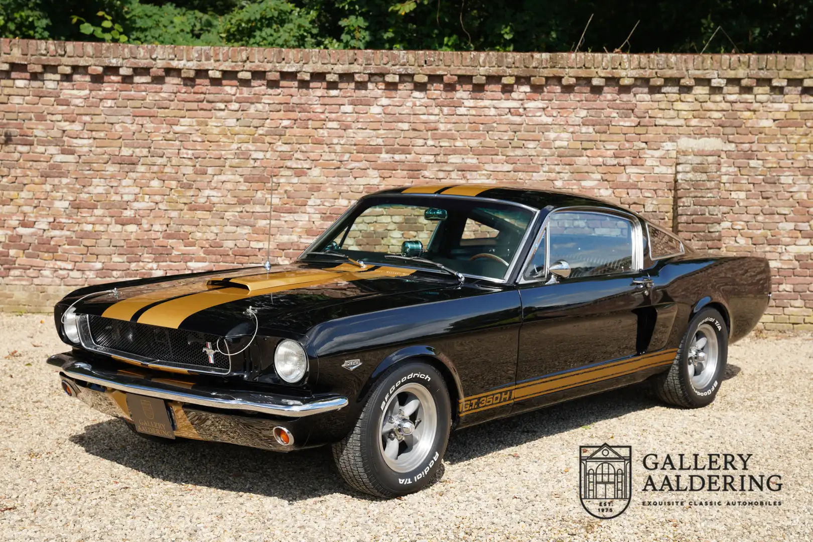 Ford Mustang Fastback Shelby GT 350H Clone, Fantastic car, driv Zwart - 1