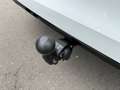Volkswagen Golf Variant Sport mHeV DSG Weiß - thumbnail 11