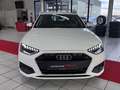 Audi A4 Avant 40 TDI S-tronic 2.0 Liter Diesel LED+Navi+Al Weiß - thumbnail 7
