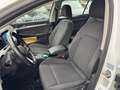 Volkswagen Golf Variant 2,0 TDI Life DSG Weiß - thumbnail 8