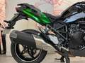 Kawasaki Ninja H2 Vert - thumbnail 10