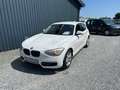BMW 116 i Sport-Line, Klima, Alu, SHZ Weiß - thumbnail 2