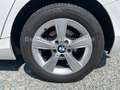 BMW 116 i Sport-Line, Klima, Alu, SHZ Weiß - thumbnail 15