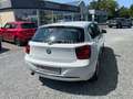 BMW 116 i Sport-Line, Klima, Alu, SHZ Weiß - thumbnail 5