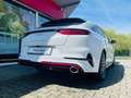 Kia ProCeed / pro_cee'd 1.6T DCT GT Komfort MJ24 Weiß - thumbnail 6