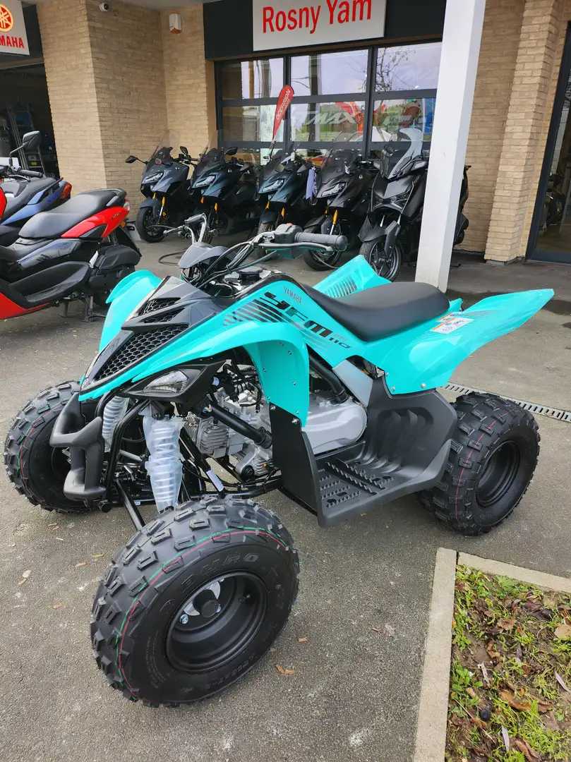 Yamaha YFM 90 Blauw - 2