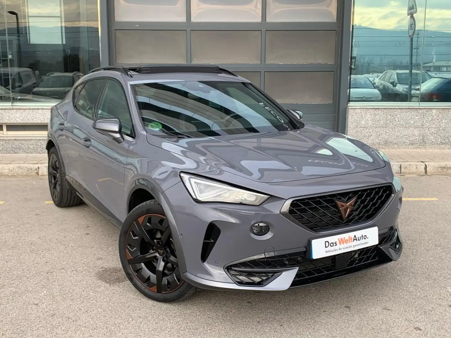 CUPRA Formentor 2.0 TSI 140kW (190 CV) 4Drive DSG Grau - 2