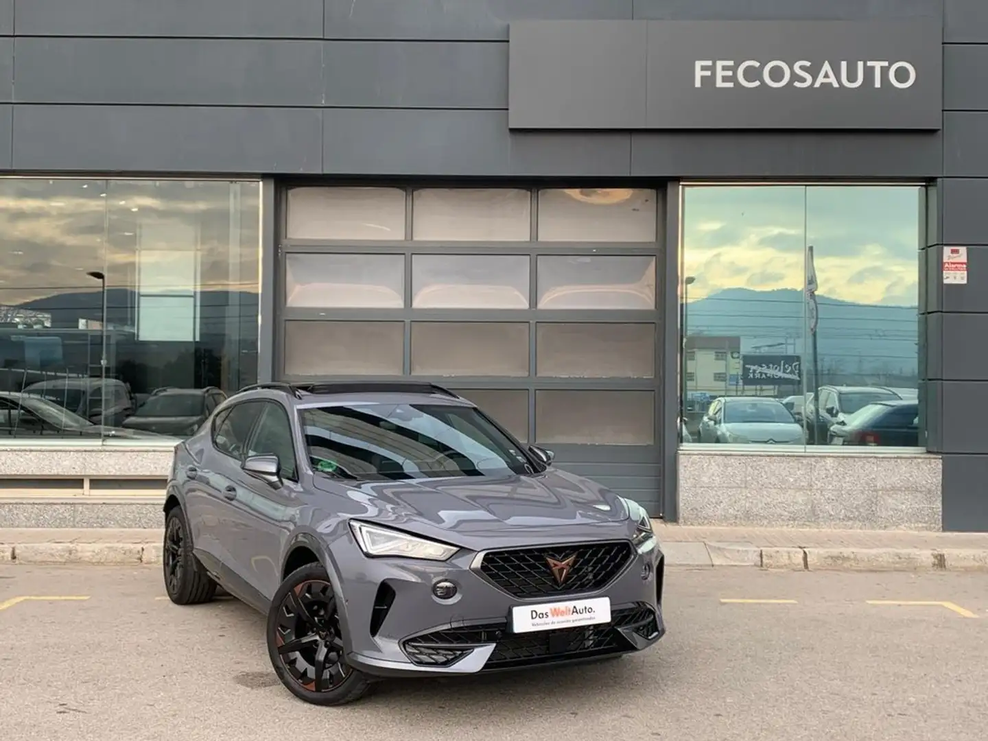 CUPRA Formentor 2.0 TSI 140kW (190 CV) 4Drive DSG Grau - 1