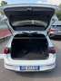 Volkswagen Golf Golf VIII 2020 1.4 GTE dsg Bianco - thumbnail 15