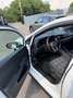 Volkswagen Golf Golf VIII 2020 1.4 GTE dsg Bianco - thumbnail 9