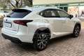 Lexus NX 300h NX Hybrid 4WD F-Sport Wit - thumbnail 5