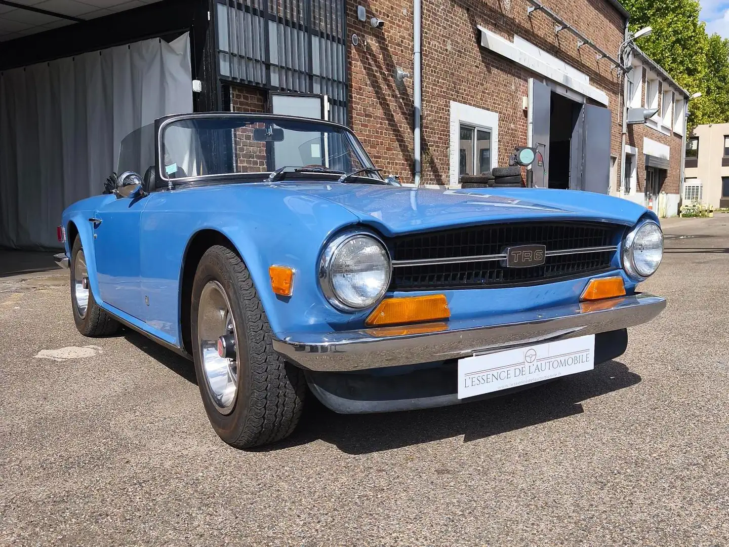 Triumph TR6 roadster Bleu - 2