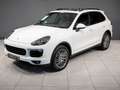 Porsche Cayenne Diesel Aut. Blanco - thumbnail 5
