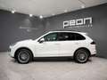Porsche Cayenne Diesel Aut. Blanco - thumbnail 6