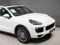 Porsche Cayenne Diesel Aut. Blanco - thumbnail 17