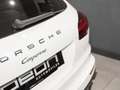 Porsche Cayenne Diesel Aut. Blanco - thumbnail 12