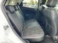 Ford EcoSport 1.0 EcoBoost 100 CV ST-Line Bl. Ed. Bianco - thumbnail 10