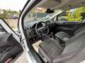 Ford EcoSport 1.0 EcoBoost 100 CV ST-Line Bl. Ed. Bianco - thumbnail 15
