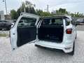 Ford EcoSport 1.0 EcoBoost 100 CV ST-Line Bl. Ed. Bianco - thumbnail 7