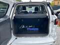 Ford EcoSport 1.0 EcoBoost 100 CV ST-Line Bl. Ed. Bianco - thumbnail 8