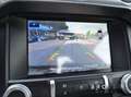 Ford Mustang 5.0 V8 Bullit GT Bullitt 460cv Europea Verde - thumbnail 12