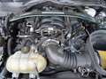 Ford Mustang 5.0 V8 Bullit GT Bullitt 460cv Europea Verde - thumbnail 15