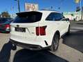 Kia Sorento 1,6 T-GDI Hybrid Gold Autom. Allrad PICKERL 8/26 Weiß - thumbnail 7