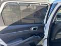 Kia Sorento 1,6 T-GDI Hybrid Gold Autom. Allrad PICKERL 8/26 Weiß - thumbnail 26