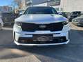 Kia Sorento 1,6 T-GDI Hybrid Gold Autom. Allrad PICKERL 8/26 Weiß - thumbnail 6