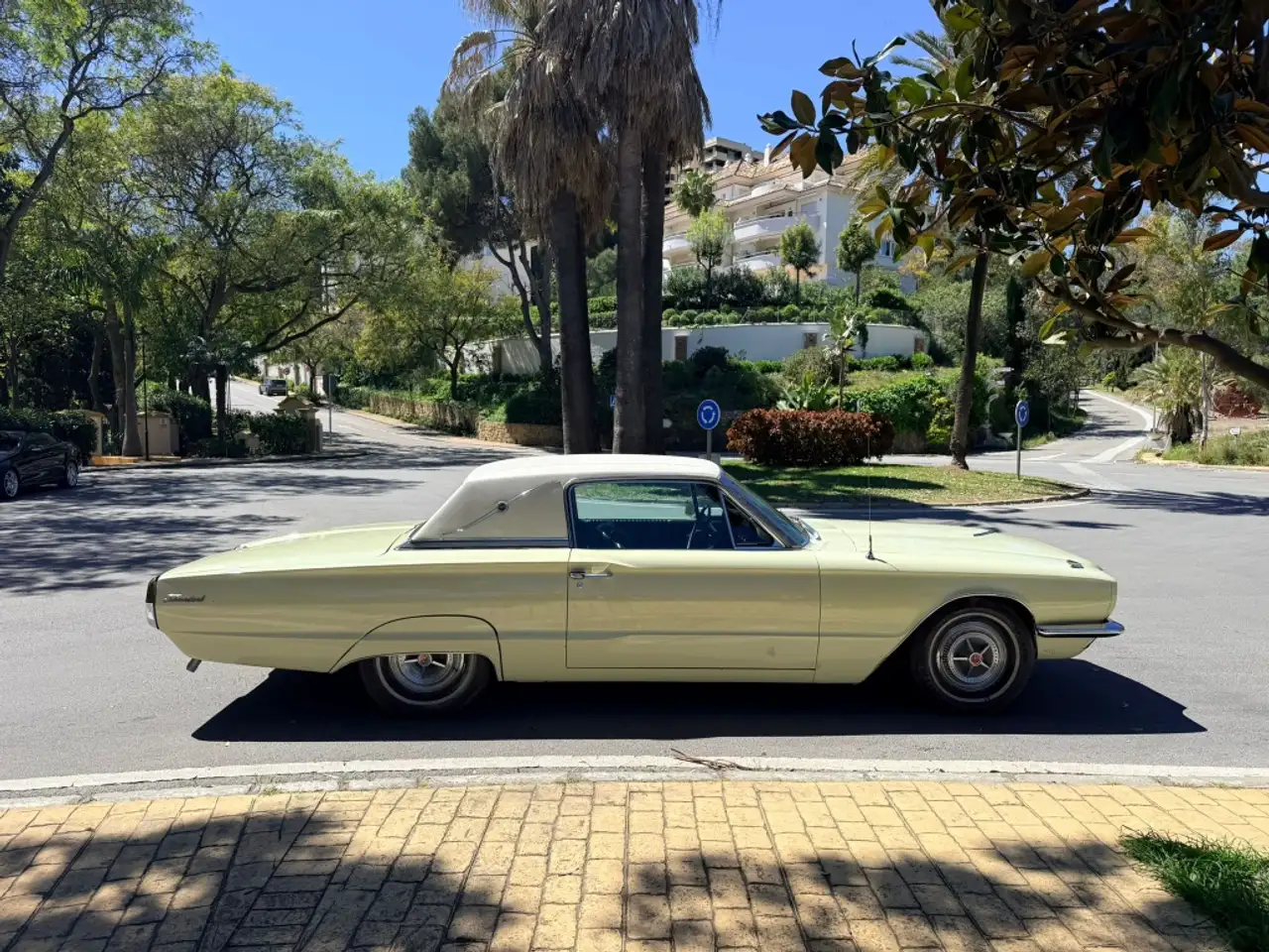 Ford Thunderbird Aut., foto 4